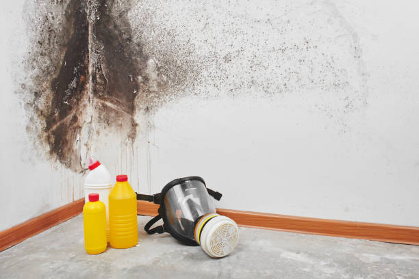 Best HVAC Mold Remediation in Covelo, CA